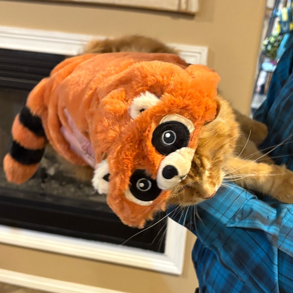 Like New Boots & Barkley Red Panda Pet Costume - Picture 7 of 8